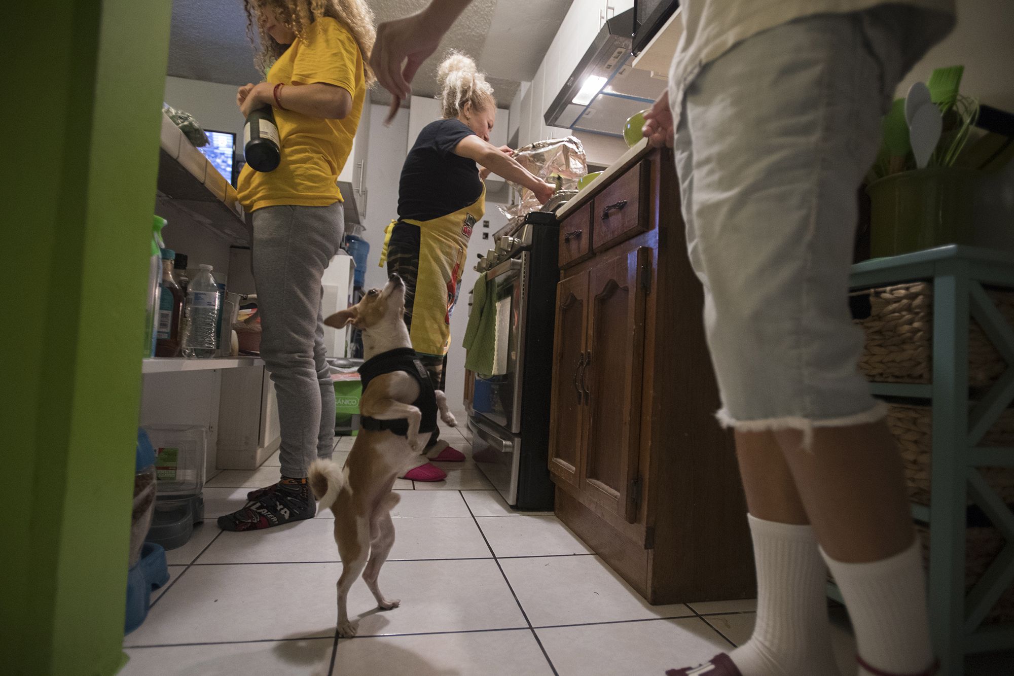 Kennedy Flores helps herself to some sparkling cider while her mother, Enedis, prepares the Thanksgiving feast and family dog, Canelo, gets food scraps from Raymond. Canelo, which means “Cinnamon” in Spanish, is one of two family dogs. Image by Amanda Cowan. Mexico, 2019.