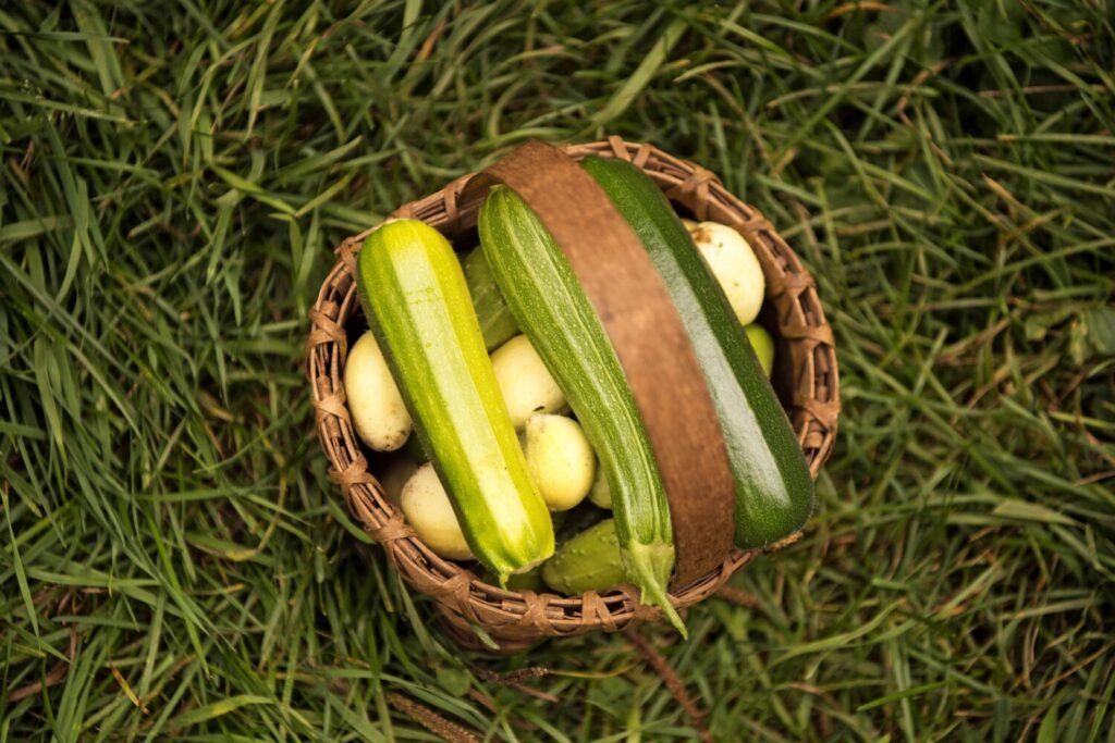 Cucumbers and squash sit in a homemade basket at the Hanson/Kwan homestead in T5 R7 in the Unorganized Territories on Sept. 17, 2019. Image by Michael G. Seamans. United States, 2019.
