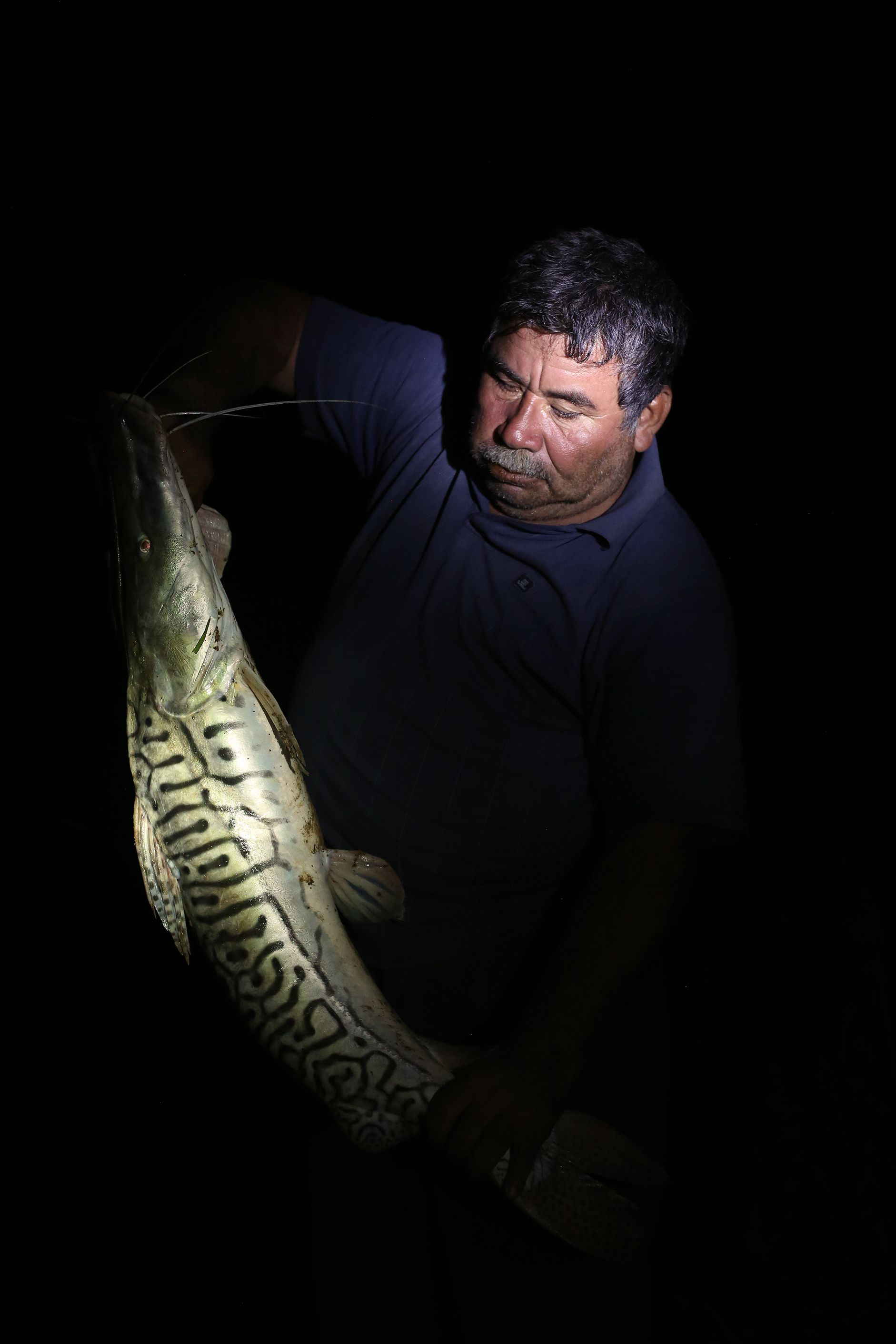 Savaraín Suarez leads the fishermen's cooperative in the town of San Buenaventura, just south of the paiche's current range. Here he holds a pintado, one of several local catfish species that are slowly disappearing from Bolivia's Amazon, largely, he and other fishermen believe, due to the predation of the invasive Arapaima gigas. Image by Felipe Luna. Bolivia, 2018.