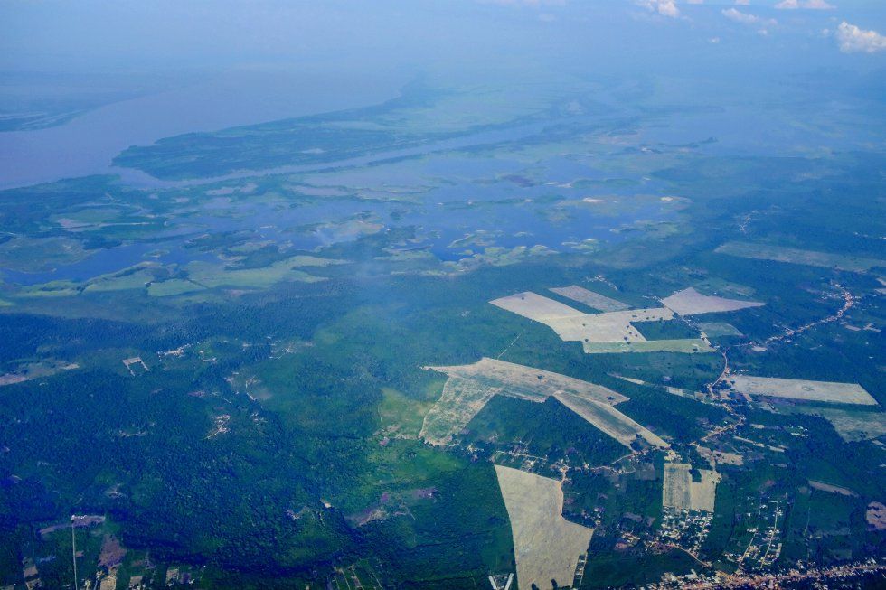 Deforested areas making way for new plantations in an aerial view of the municipality. Image by Melissa Chan. Brazil, 2019.

Áreas deforestadas de selva para nuevas plantaciones, en una vista aérea del municipio.