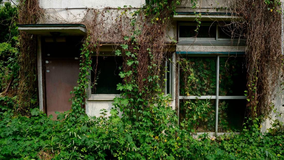 Overgrown vegetation surrounds a vacant house in the Yato area of Yokosuka City, Kanagawa Prefecture. Empty homes are an issue across the country. Image courtesy of Emiko Jozuka. Japan, 2018.