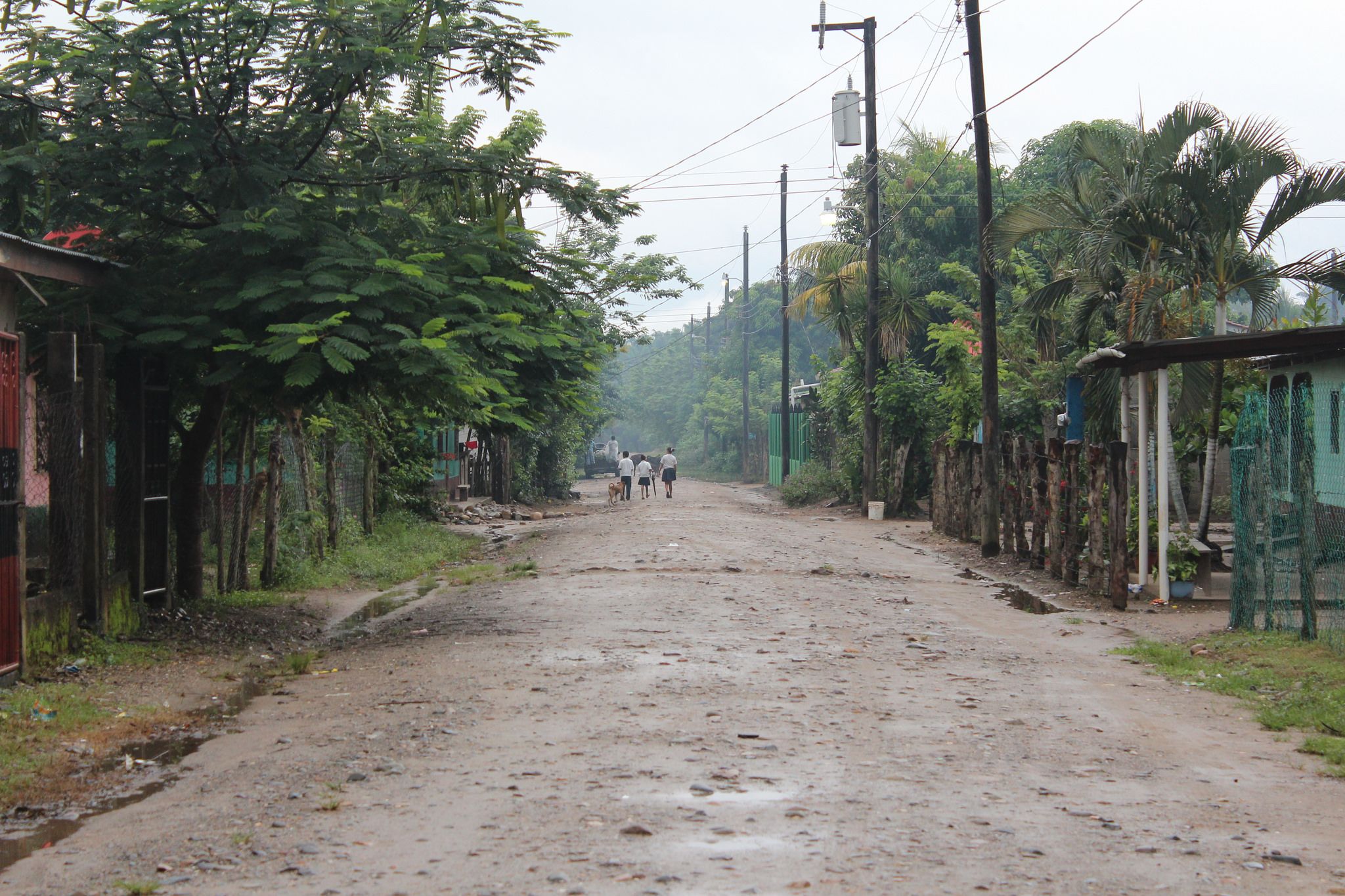 A residential street in La Confianza, a peasant-run farming community in Bajo Aguan, Honduras. Image by ICIJ. Honduras, 2014.