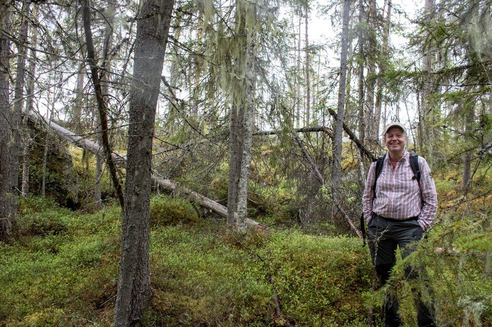 Lars Östlund, a forest historian at the Swedish University of Agricultural Sciences, finds clues about the past in the forest itself. Image by Amy Martin. Sweden, 2018.