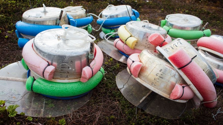 Scientists often make their own instruments in the field, like these methane traps, which are made with pool noodles. "So we got a whole box of those ... it's kind of weird when you buy them," says Joachim Jansen, a PhD candidate at Stockholm University. Image by Amy Martin. Sweden, 2018.