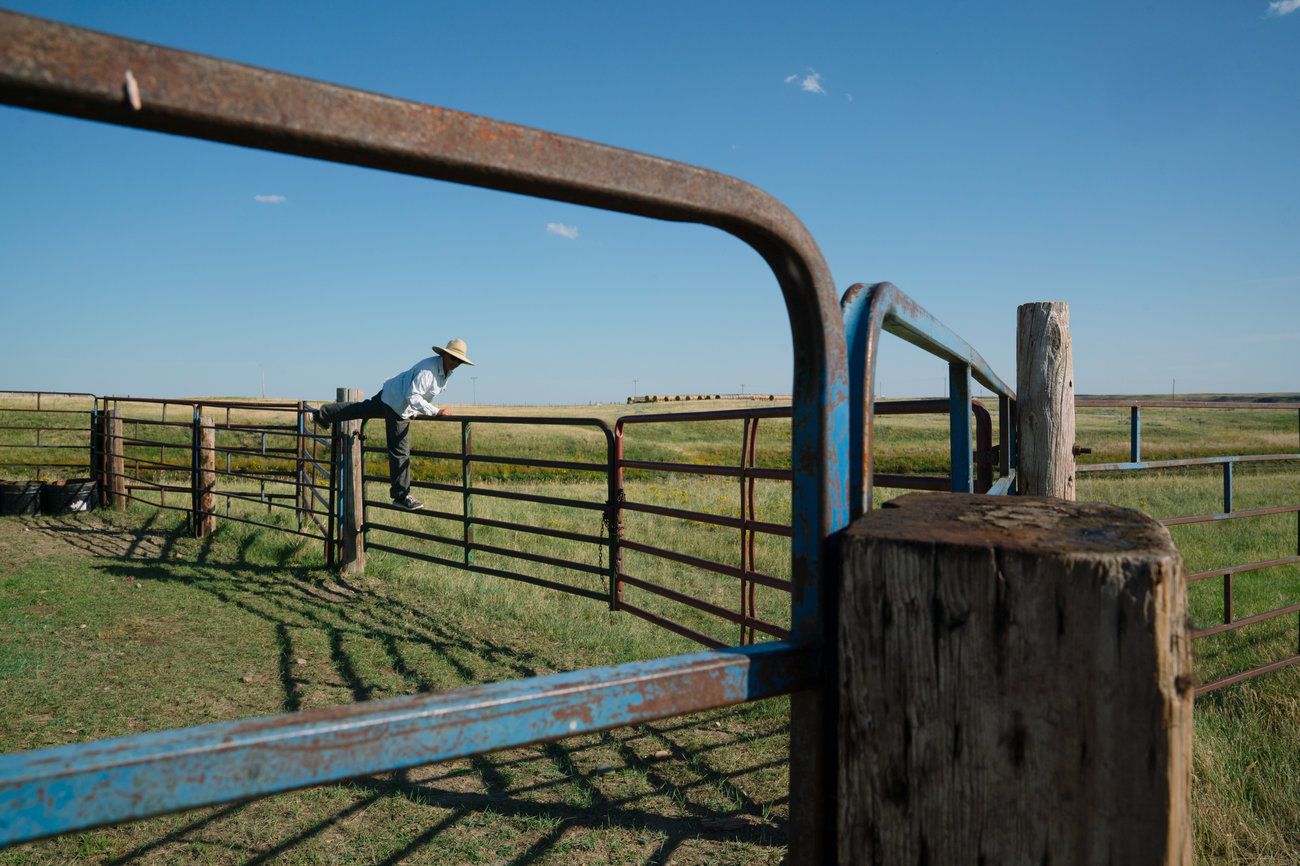 Conni checks on a bull on her ranch. She says she will never sell her spread to the reserve. "I really feel like ranchers — these land stewards — are the best option for conservation." Image by Claire Harbage / NPR. United States, 2019.