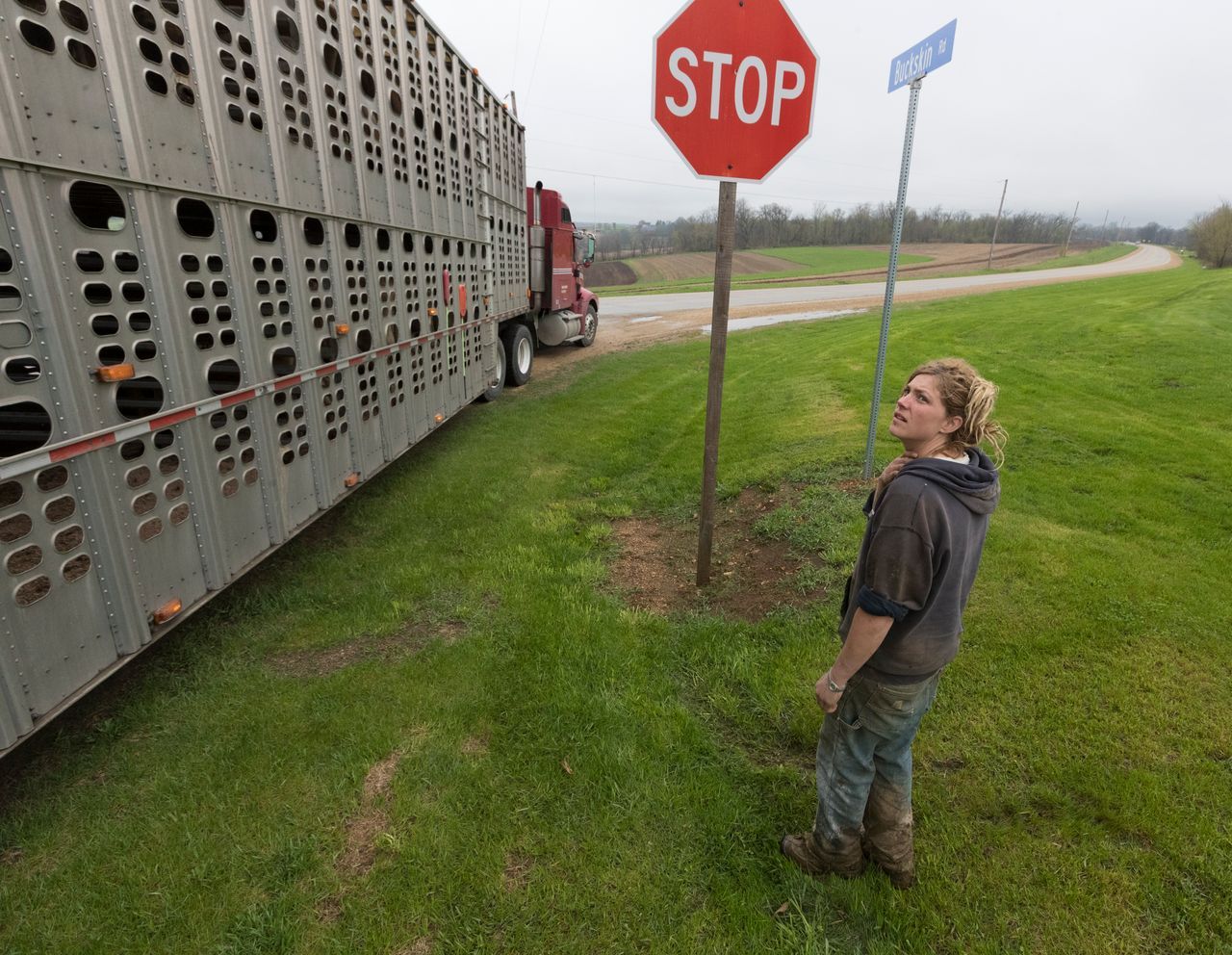 Emily Harris takes a final look at most of her herd as the truck leaves to carry the herd to new farms. Emily and her wife, Brandi Harris, sold their cows and gave up dairy farming. Image by Mark Hoffman. United States, 2019.