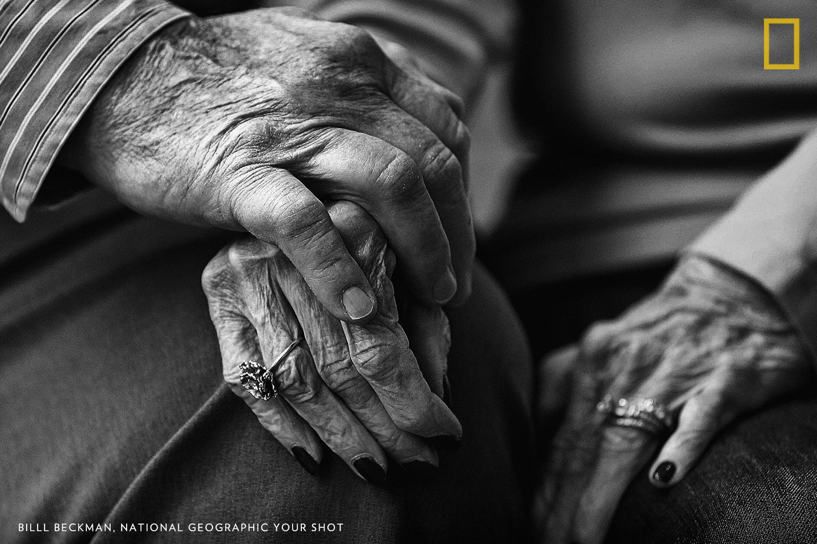 A half century of wedded life, raising children, teaching special needs children for 30 years wore these beautiful hands thin. Still there was strength for her man. Image by Bill Beckman.