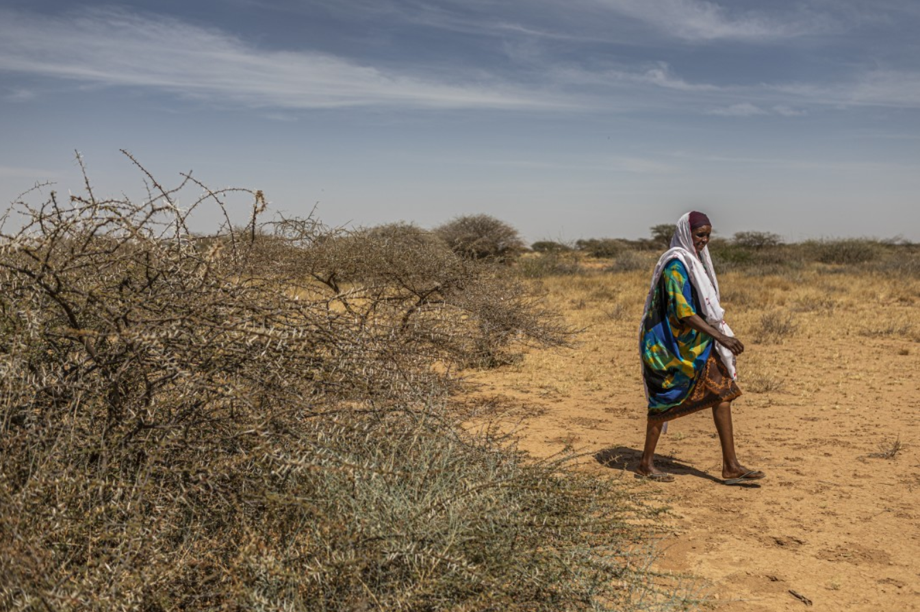 Faisa Abdi Alleh walks to her farm in Beer, Somalia, which was devastated by locusts. Image by Will Swanson / For The Times. Somalia, 2020.