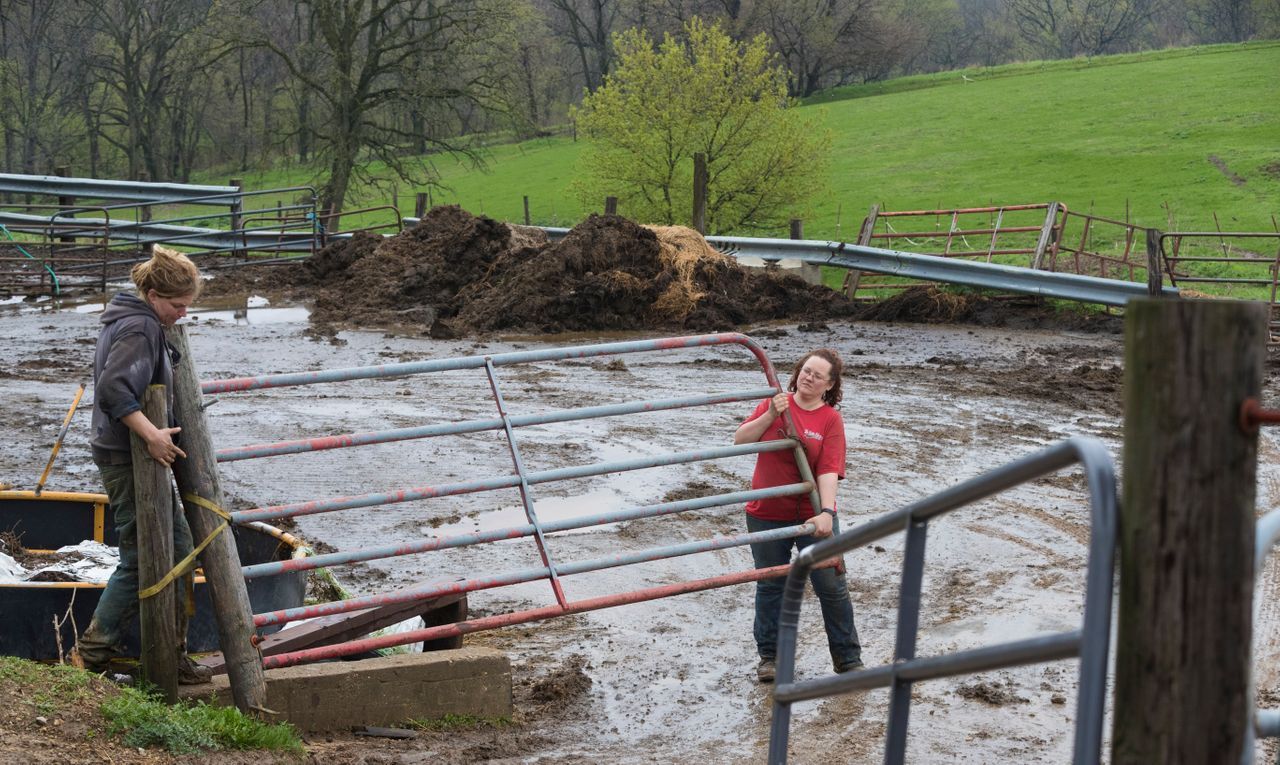 Emily, left, and Brandi Harris move a gate on their organic dairy farm. Image by Mark Hoffman. United States, 2019.