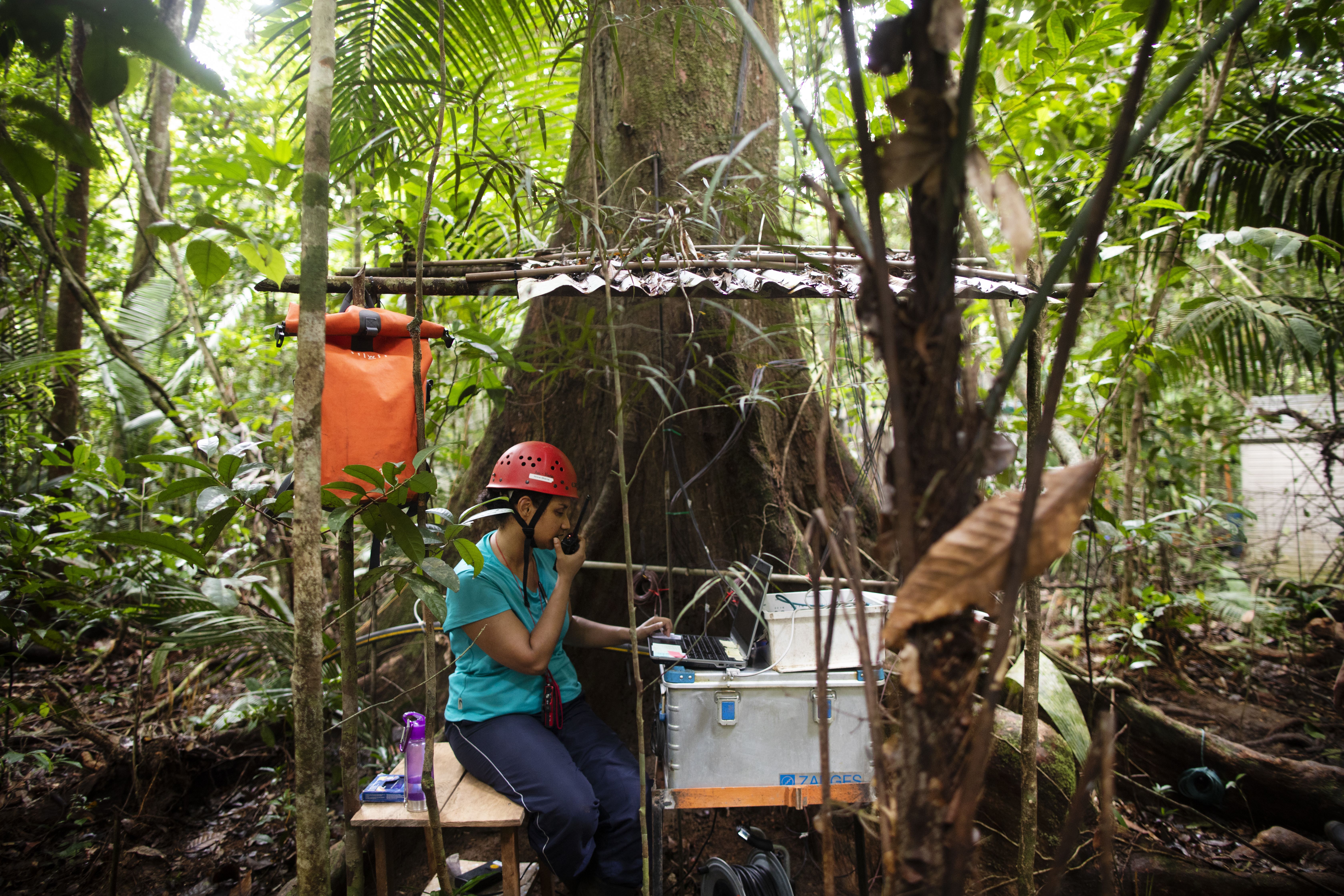 Researcher Cybelli Barbosa collects data at her station near ATTO. Her research will help produce better regional rainfall forecasts and improve global climate models. Image by Victor Moriyama. Brazil, 2019.