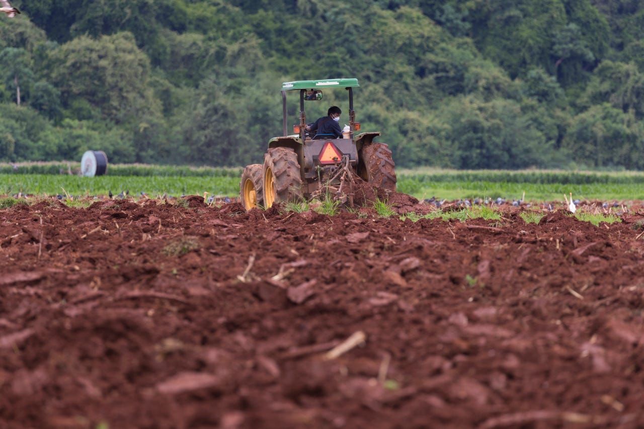 Soil is plowed at Farm Chokchai in Pak Chong, Thailand. Farm Chokchai is one of the larger dairy producers in Thailand. Image by Mark Hoffman. Thailand, 2019. 