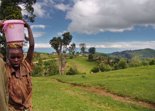 Loss of trees, loss of livelihood - Rwanda