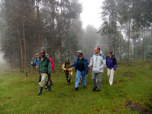 Virungas Parc National des Volcans - Rwanda