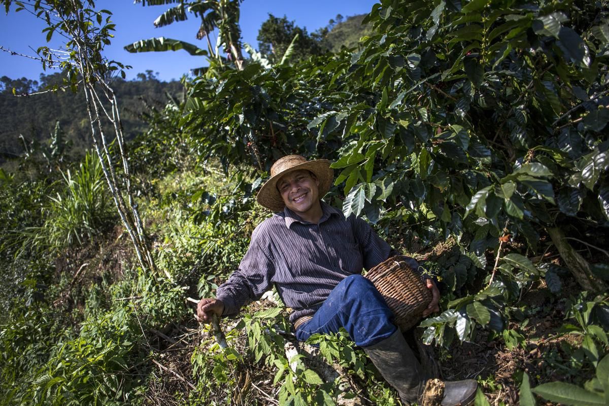 Prudencio Bautista Gómez, 41, in his coffee field. He lived for 12 years in Princeton and Columbia, South Carolina, where some find work in chicken plants. Image by Simone Dalmasso. Guatemala, 2019.