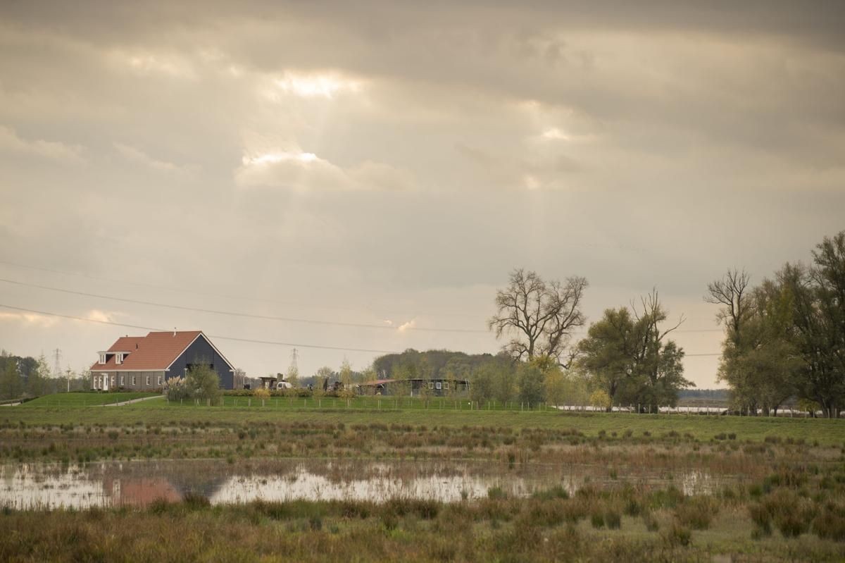 Farm fields once protected by levees now regularly flood in the Noordwaard area of South Holland. Image by Chris Granger. Netherlands, 2019.