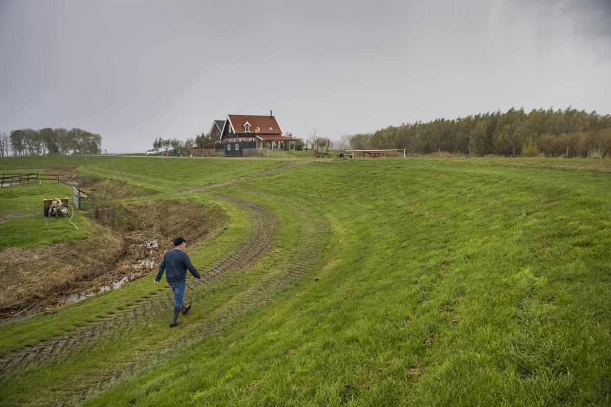 Rain clouds move in as Vic Gremmer walks along the field where his original house once stood in the Noordwaard are of South Holland. Image by Chris Granger. Netherlands, 2019.