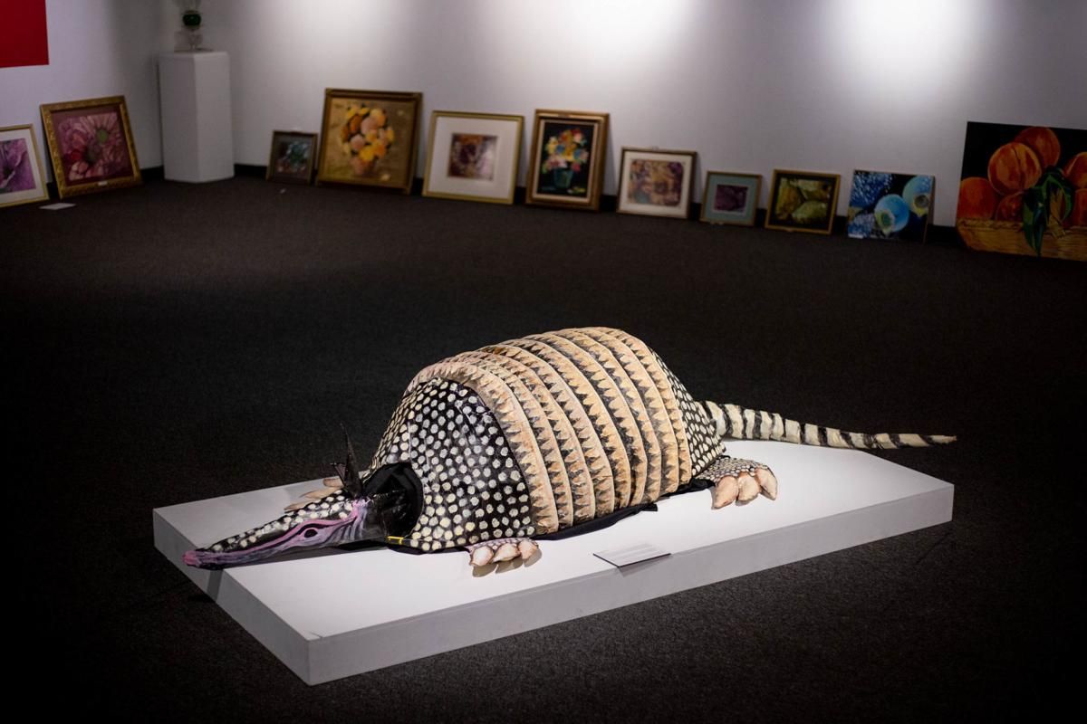 An armadillo puppet by artist Lisa Devon Barnes sits among art pieces from a continuing art exhibition on Thursday, July 16 at the SIU University Museum’s South Hall in Carbondale. Image by Brian Munoz. United States, 2020.