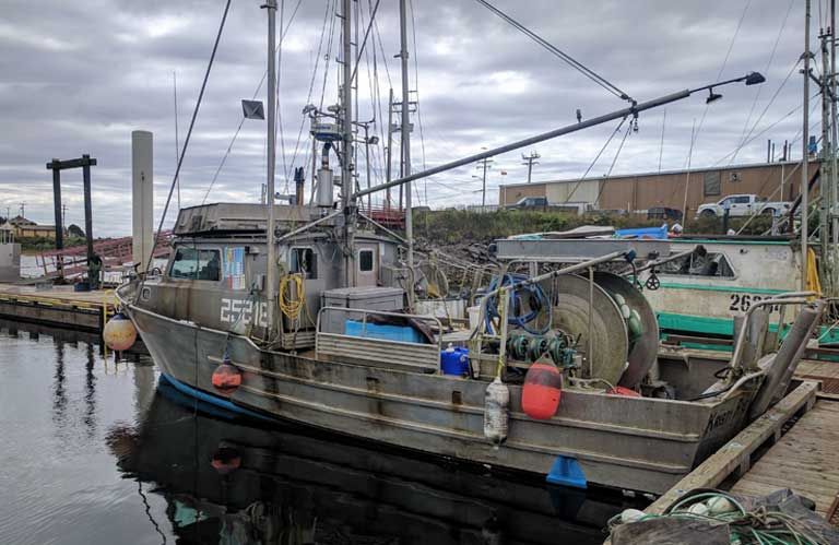 A fishing boat in Lax Kwalaams harbor. With fishing catches down so far, many local fishermen have given up the livelihood. Image by Saul Elbein. Canada, 2017.