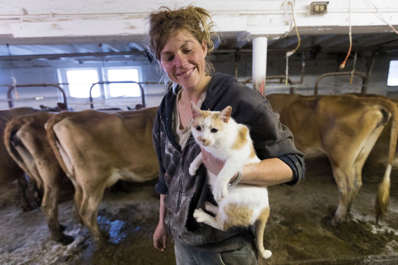 Emily Harris holds "Shitty Kitty" while taking a break from loading livestock. The barn cat got the name after they found it covered with manure. Image by Mark Hoffman. United States, 2019.