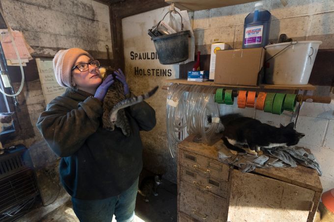 Christy Spexet holds one of the many barn cats. Spexet names every cow and cat on the Spaulding family's farm. Image by Mark Hoffman/The Milwaukee Journal Sentinel. USA, 2019.