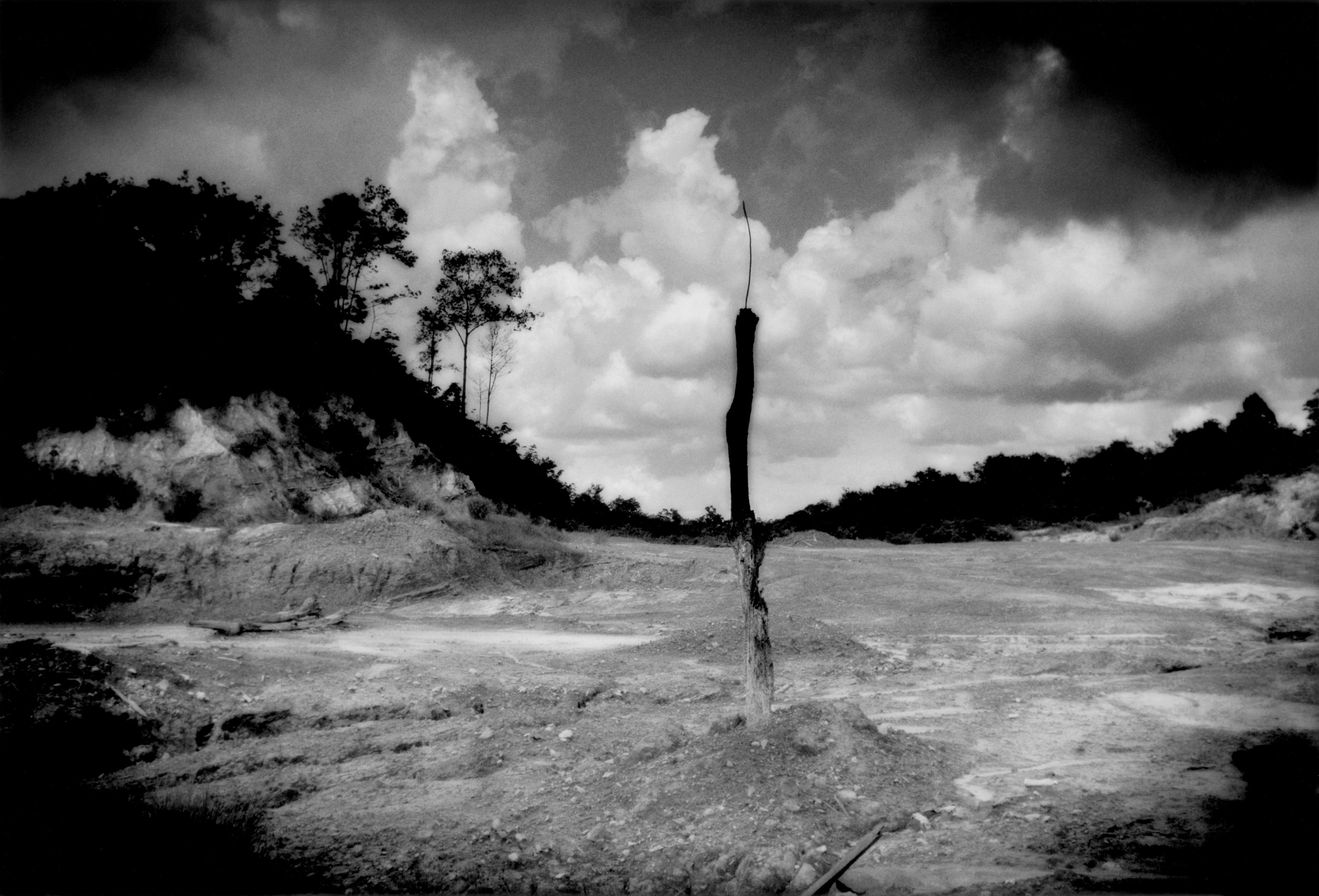 Excessive logging and oil palm plantations are destroying Malaysia's forests. Image by James Whitlow Delano. Malaysia, 2011.