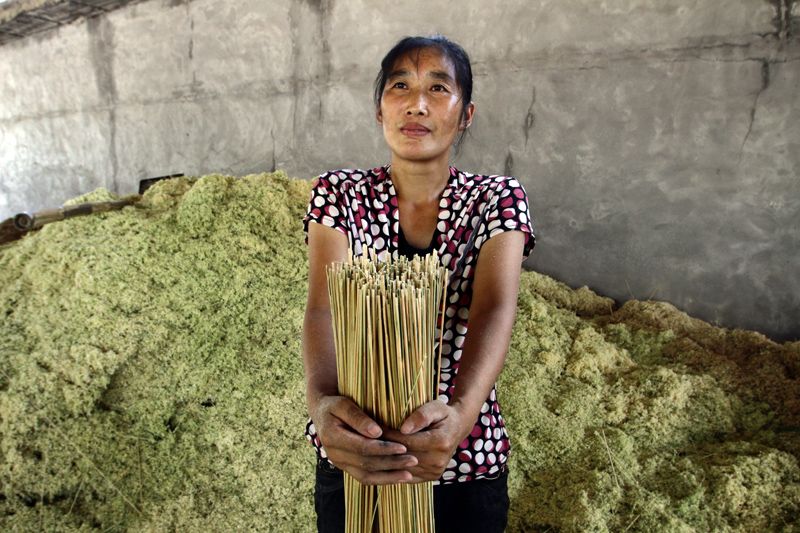 A woman holding stalks of bamboo in a factory in Sichuan.