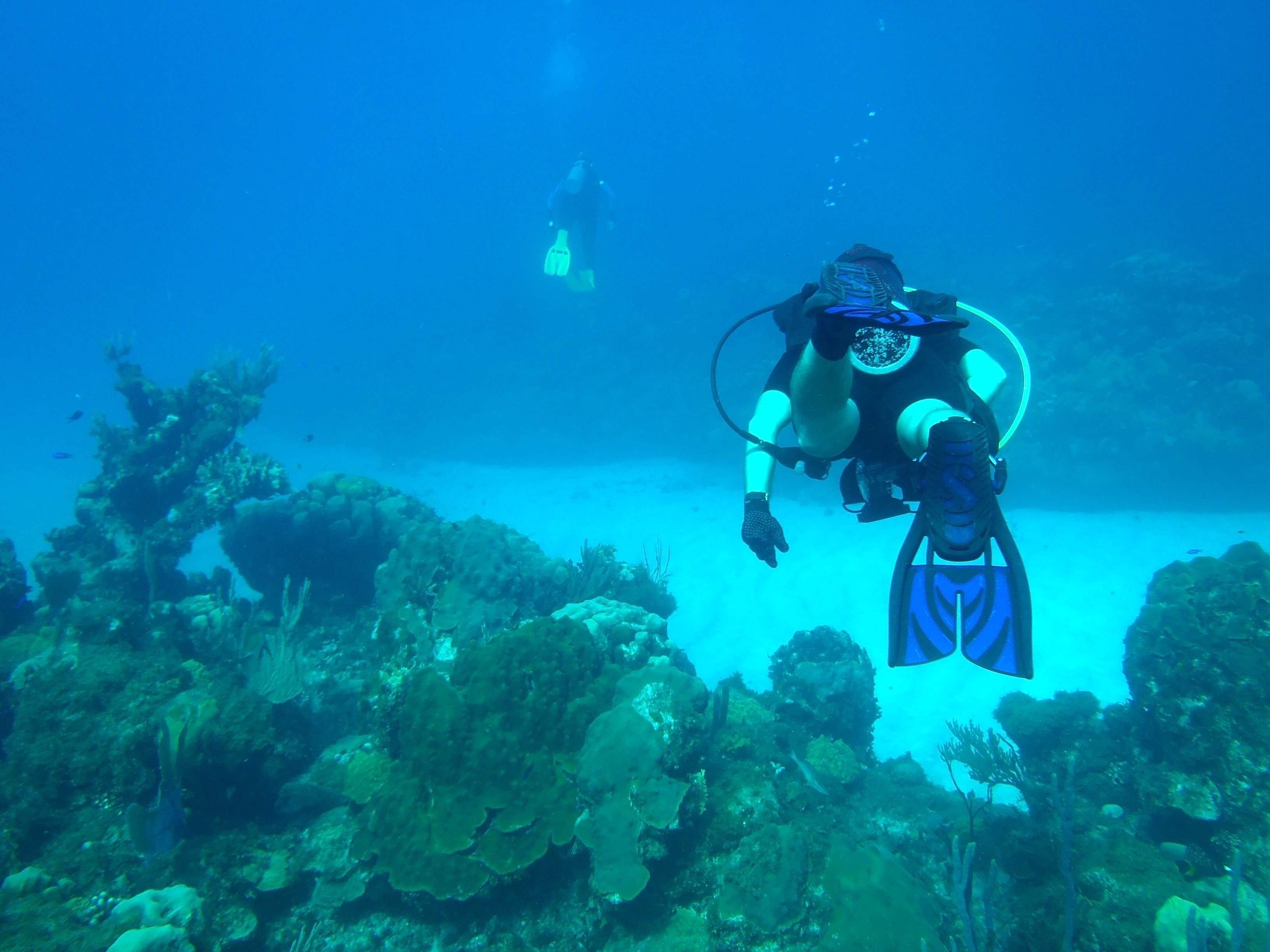 Recreational divers at Cuzco Beach, one of the most pristine marine sites on base.