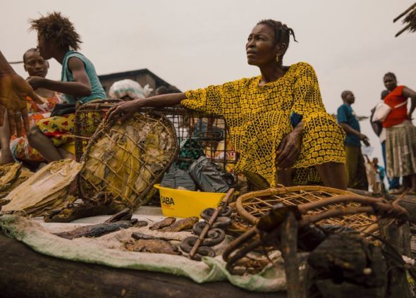 Congo, 2019. Image by Hugh Kinsella Cunningham.