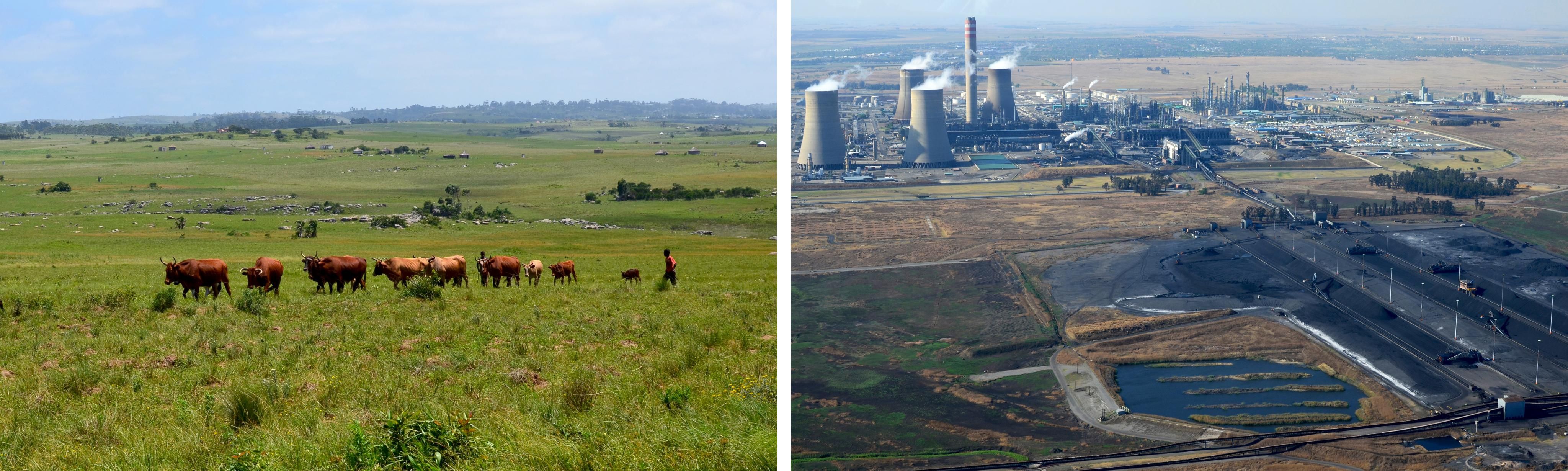 Left: Herdsmen guide their cows through Amadiba. Right: A chemical and coal refinery in Mpumalanga. Image by Mark Olalde. South Africa, 2017.