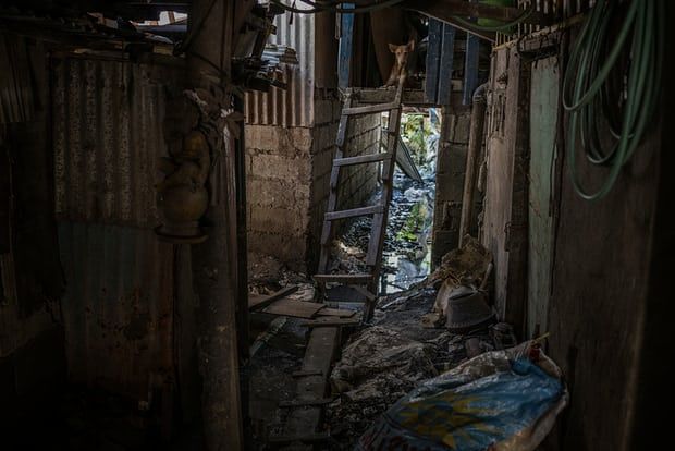 The alleyway, guarded by a neighbour’s dog, in front of Rhoda’s house floods so badly and so often that a makeshift plank boardwalk has been laid down. Image by James Whitlow Delano. Philippines, 2018. 