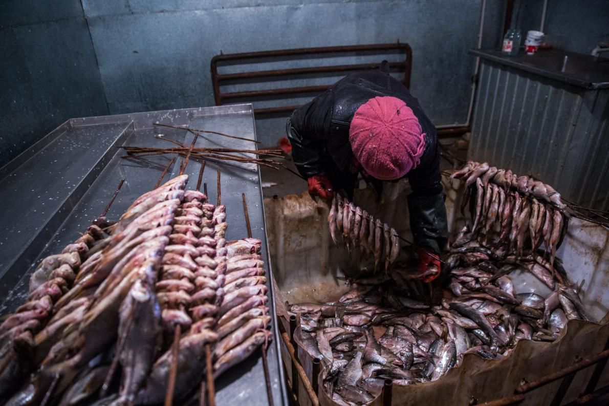 A worker prepares fish for smoking. Image by Taylor Weidman. Kazakhstan, 2017.