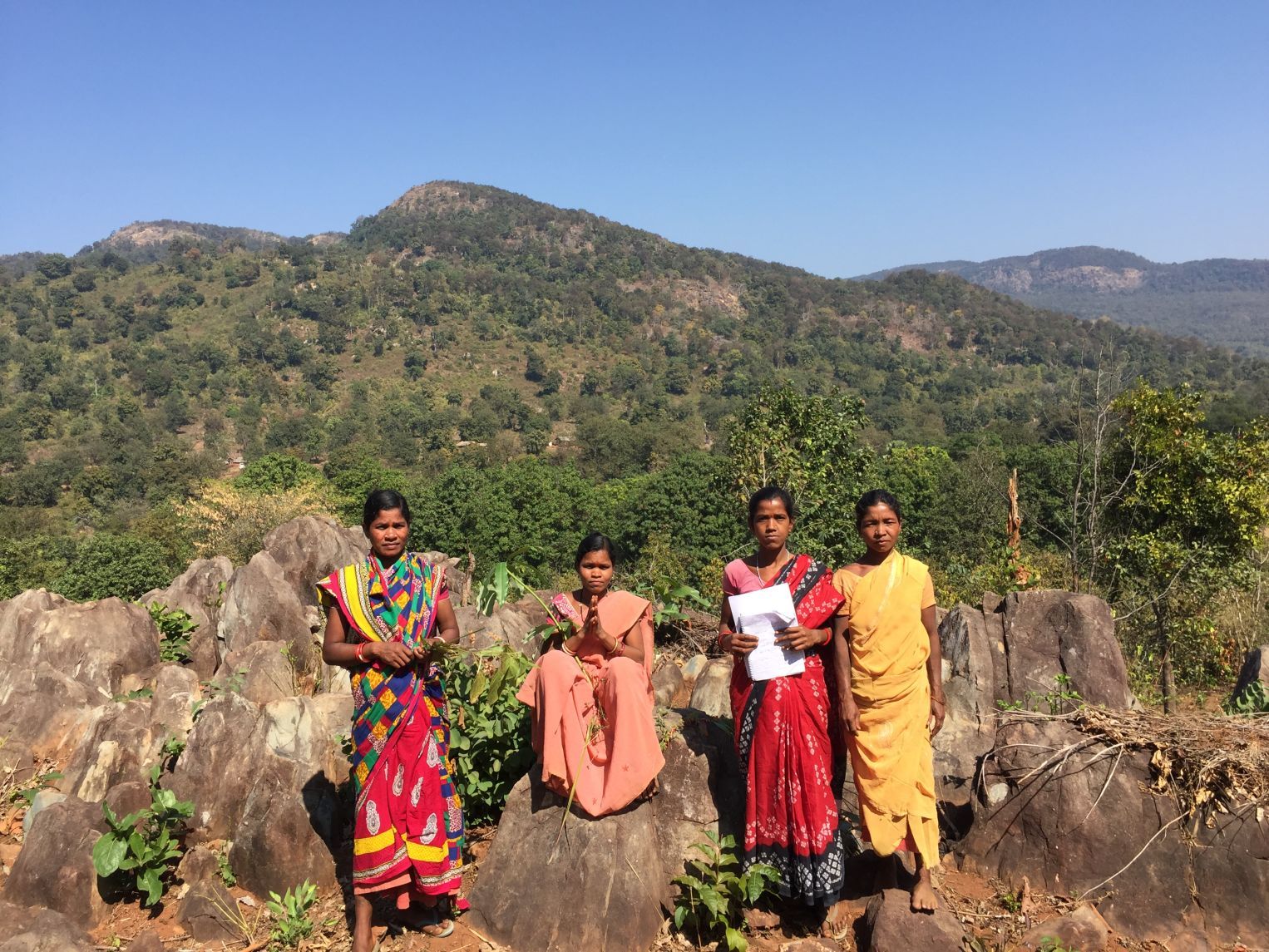 Adivasi residents in Benedihi village of Keonjhar, Odisha have been in conflict with the forest department over plantations on their shifting cultivation lands. Odisha is set to receive the largest share of CAF money in the country - over Rs 6000 crores ( $862 million ). Chhattisgarh, India. June 2019. Image by Chitrangada Choudhury.