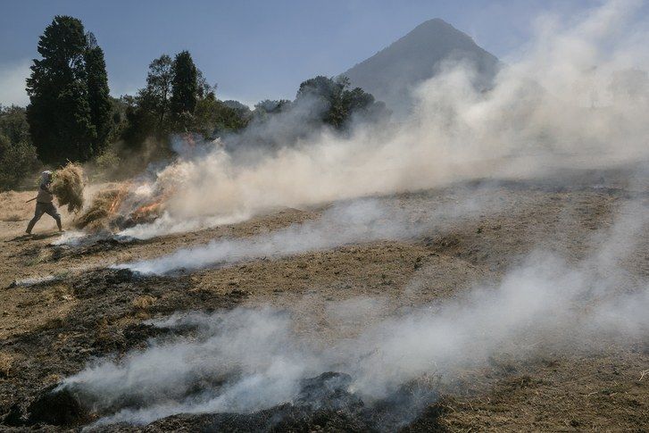 A worker burns the land as preparation for the next onion harvest, near the city of Quetzaltenango. With less tree cover, the effects of oscillating temperatures have worsened, making it more difficult for farmers to recoup losses. Image by Mauricio Lima. Guatemala, 2019.