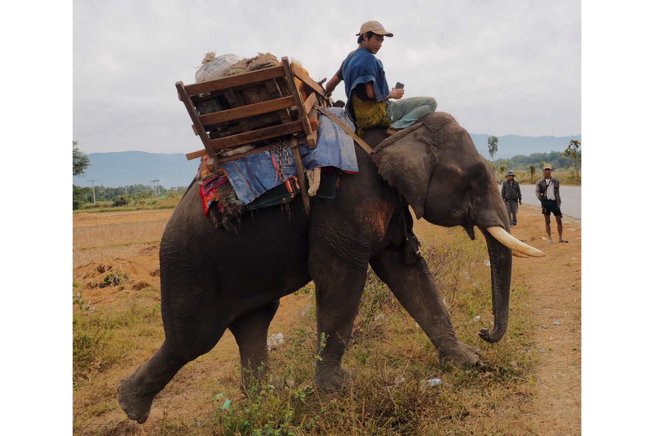 An elephant hauls rice to KIA soldiers in northern Myanmar. Image by Doug Bock Clark. Myanmar, 2018. 
