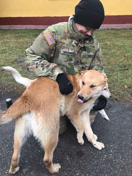 Wisconsin National Guard Sgt. Jamie Zimmerman pets Max and Snowball at the International Peacekeeping and Security Centre in Yavoriv, Ukraine. Zimmerman is a civilian veterinarian and a medic in the military. Image by Meg Jones / Milwaukee Journal Sentinel. Ukraine, 2020.