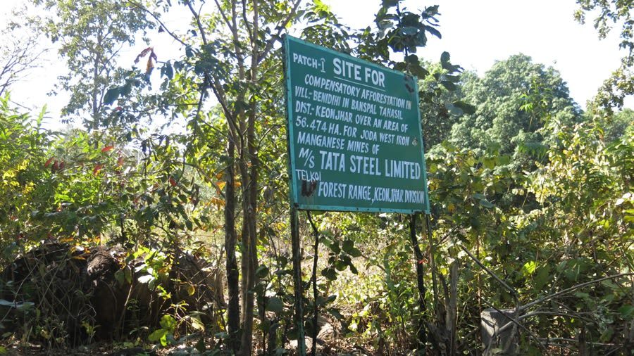 An undulating forested patch in Benedihi village has been marked out for compensatory afforestation by the forest department to offset forest clearance awarded to a Tata Steel Limited mine. Chhattisgarh, India. June 2019. Image by Chitrangada Choudhury.
