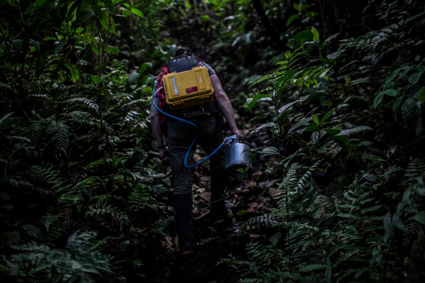 Volcanologist Chad Deering walks through the tropical rainforest with a gas-testing kit. Image by Dado Galdieri / Hilaea Media. Costa Rica, 2020.