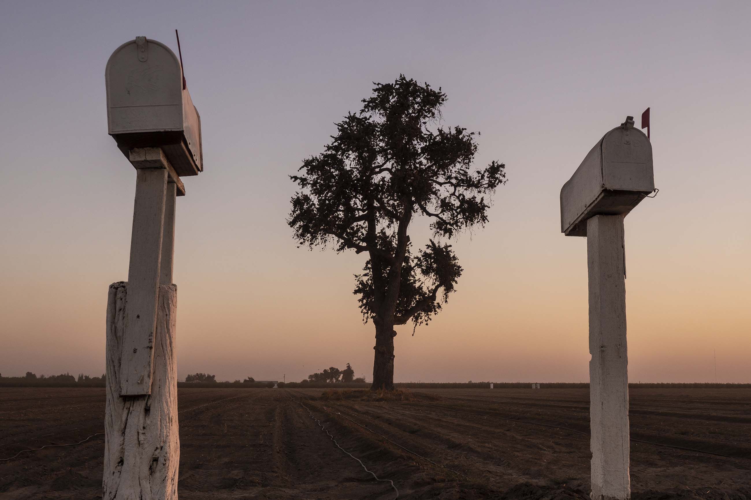 Stretching 250 miles from Bakersfield in the south to Stockton in the north, the San Joaquin comprises the southern two-thirds of the storied Central Valley, a plowed-over promised land that generates more than $17 billion a year in crops. Image by Larry C. Price. California, 2018.