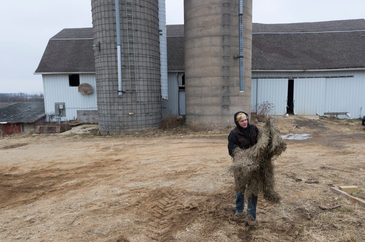 Emily Harris fetches hay for her horses on Wylymar Farms, the small organic dairy farm she owns with her wife, Brandi, in Monroe. Image by Mark Hoffman. United States, 2019.