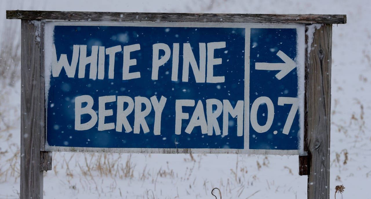 A sign directs motorists to White Pine Berry Farm outside of River Falls. Image by Mark Hoffman. United States, 2019.