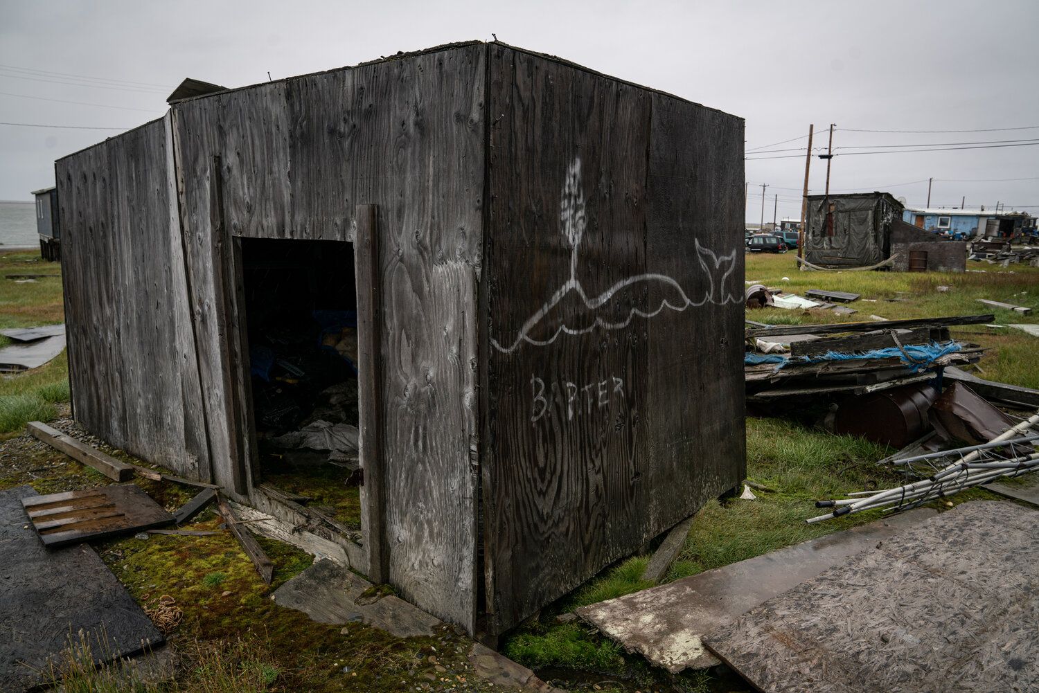 Whale art graffiti on side of hut. Image by Nick Mott. United States, 2019.