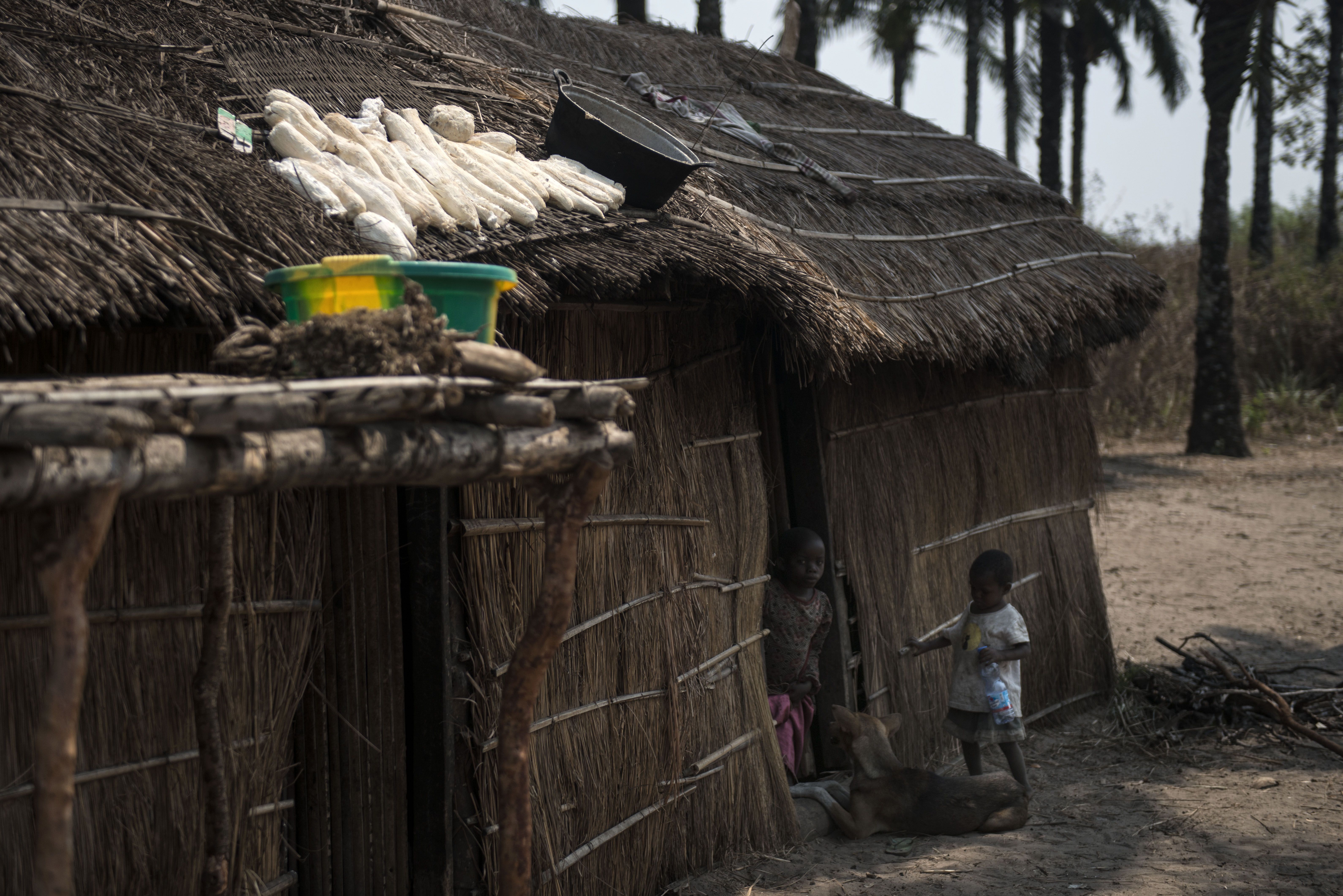 Image by Neil Brandvold. Democratic Republic of Congo, 2016.