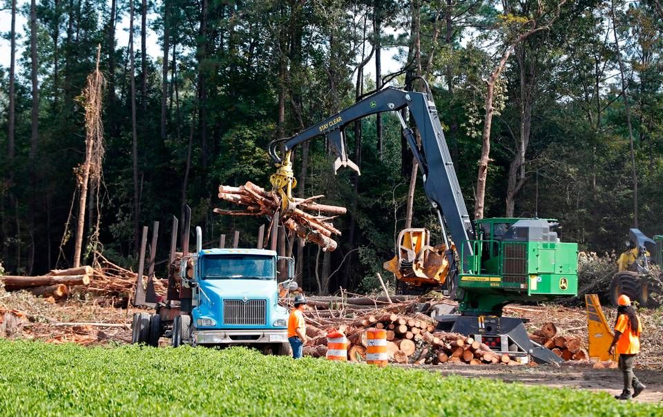 Trees cut down on a Wilson County farm are loaded onto a truck Tuesday, Sept. 3, 2019. The cut trees are headed to the Enviva plant in Northampton County, N.C. Image by Ethan Hyman. United States, 2019.
