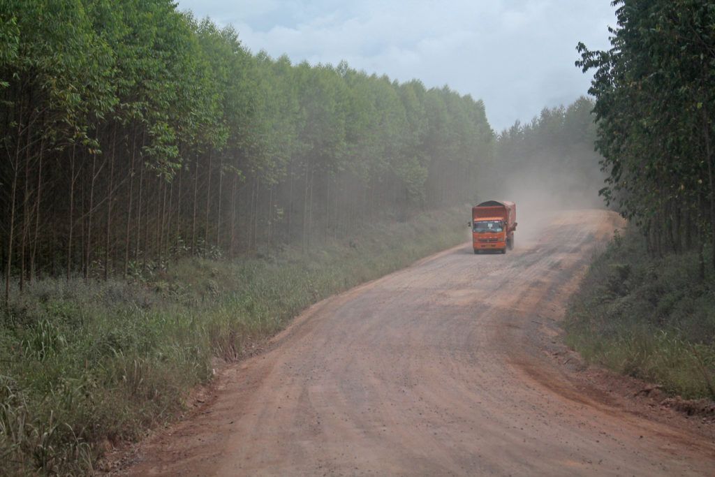 A coal truck passing through Harapan forest. Image by Erwan Hermawan/TEMPO. Indonesia, 2020.