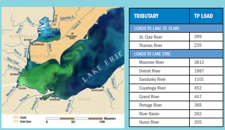 Figure showing total phosphorus (TP) tributary loading to Lake St. Clair and the western Lake Erie in 2018 in metric tons per annum (MTA). Runoff from agricultural areas is the major source of nutrient loadings with about 70% from commercial fertilizer application and 30% from animal manure. Image by IJC.