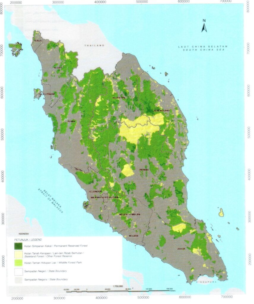 Figure 4: Map of forested area in Peninsular Malaysia, 2019. ("Forestry Statistics Peninsular Malaysia 2019", Forestry Department Peninsular Malaysia)