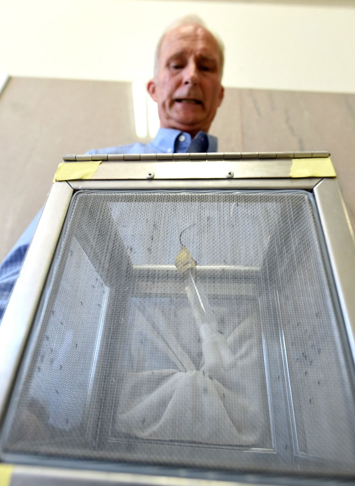 Steve Mulligan, district manager of the Consolidated Mosquito Abatement District, holds a container with Aedes aegyptimosquitoes during a news conference at the Fresno County Department of Health in July 2016. Image by John Walker / The Fresno Bee. United States, 2016.