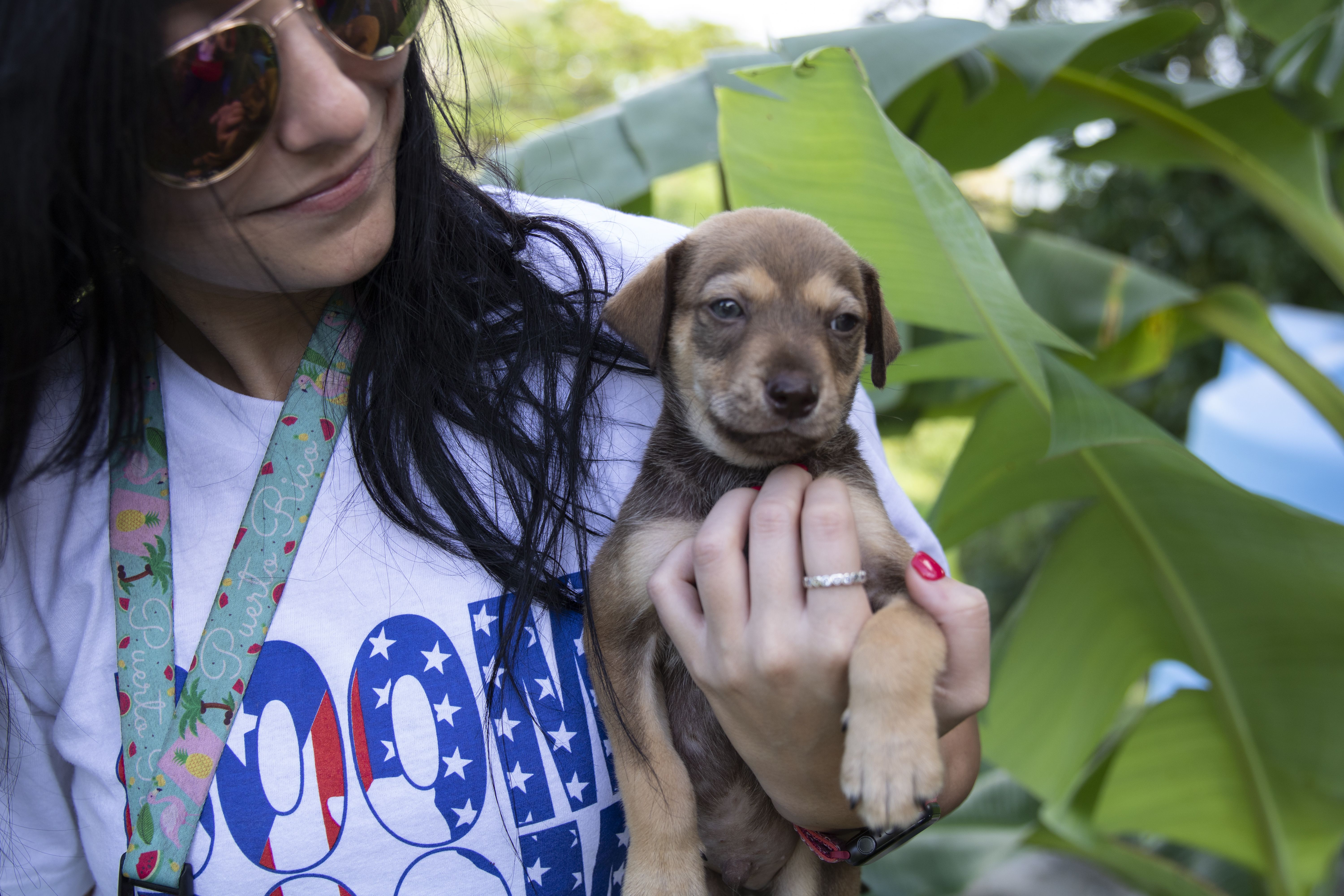 Negrón smiles down as she holds one of the new puppies. Image by Jamie Holt. United States, 2019.