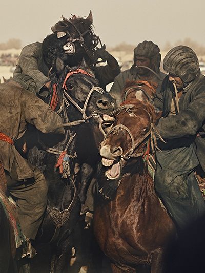 Riders fighting for control of the buz, a slaughtered calf. Image by Balazs Gardi. 