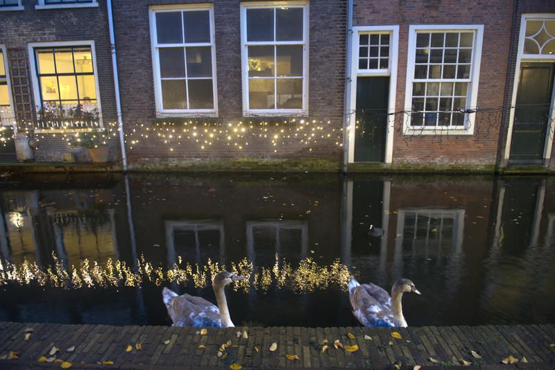 Geese float in a canal in Delft in the Netherlands. Photo by Chris Granger, The Times-Picayune | The New Orleans Advocate. Netherlands, undated.